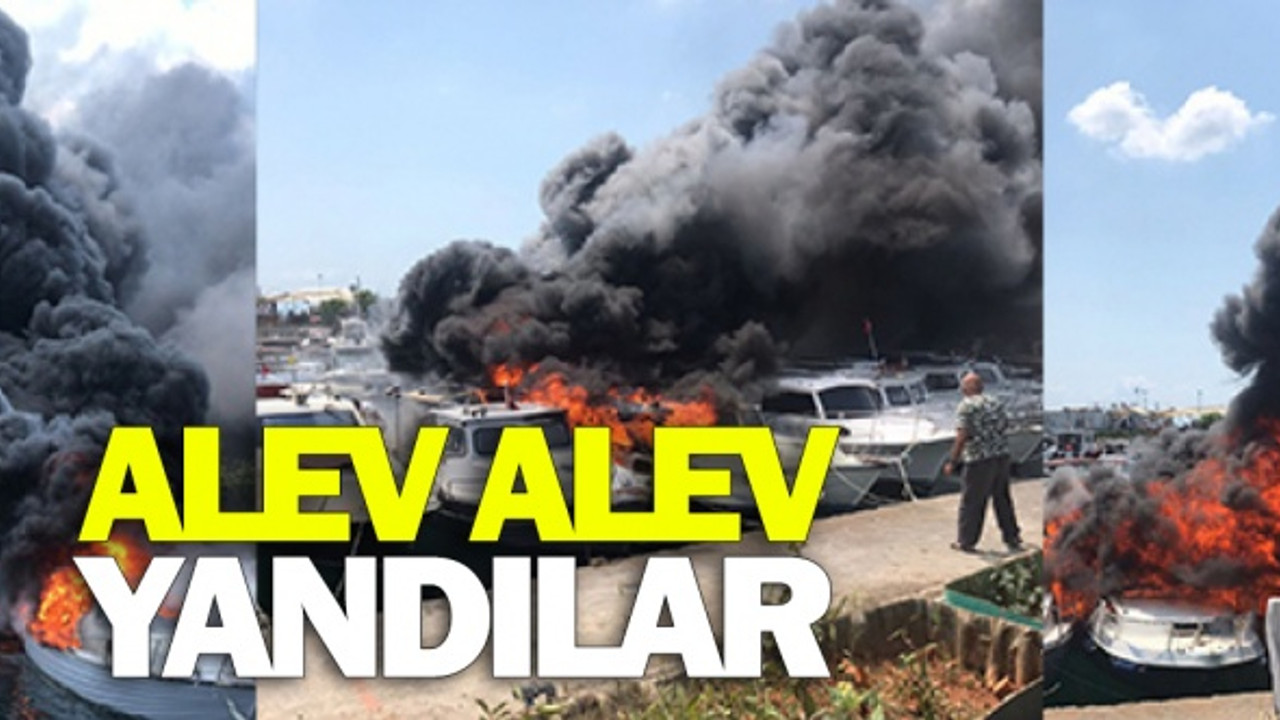 Dragos marinada tekneler alev alev yandı