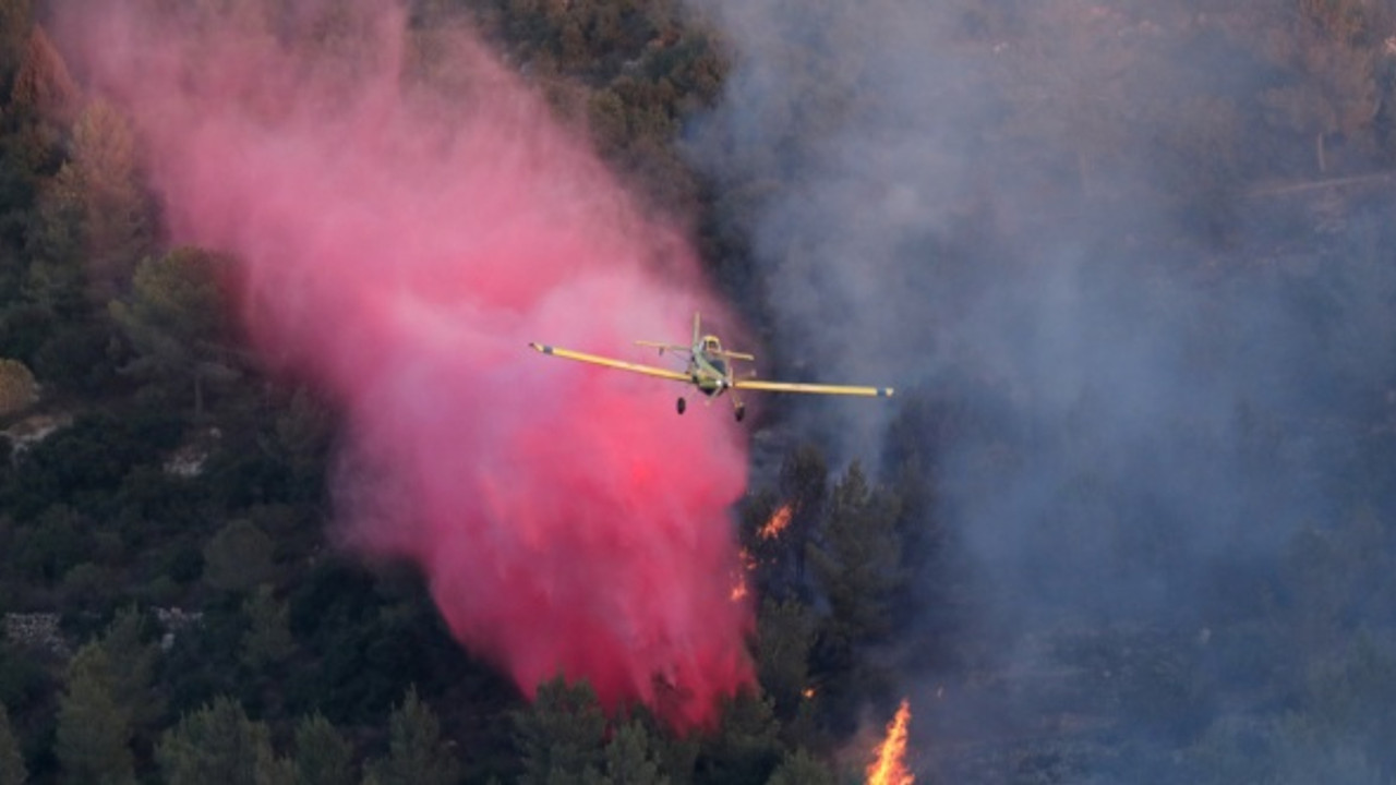 Kudüs'te 25 bin dönüm alan kül oldu