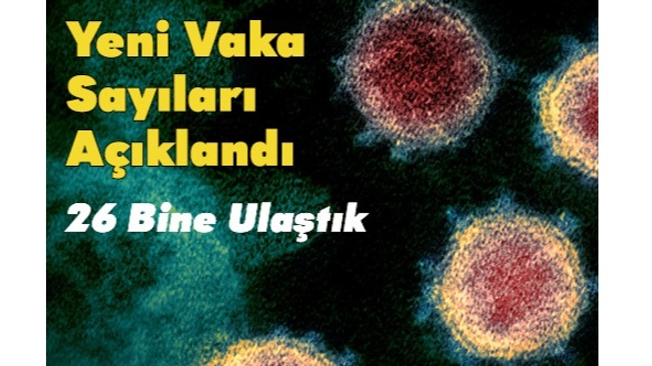 Uzmanlar Uyarıyor: Çözüm Aşı 