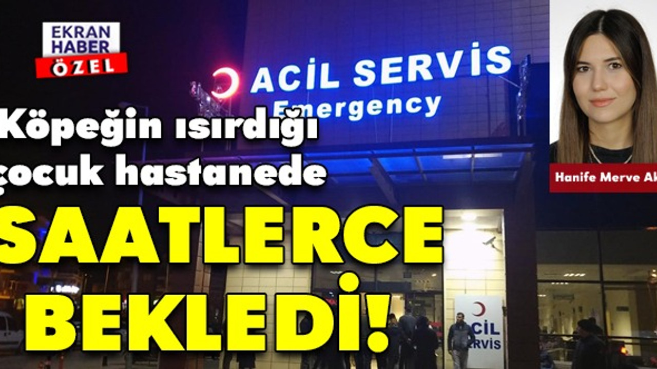 Köpeğin ısırdığı çocuk hastanede saatlerce bekledi! 