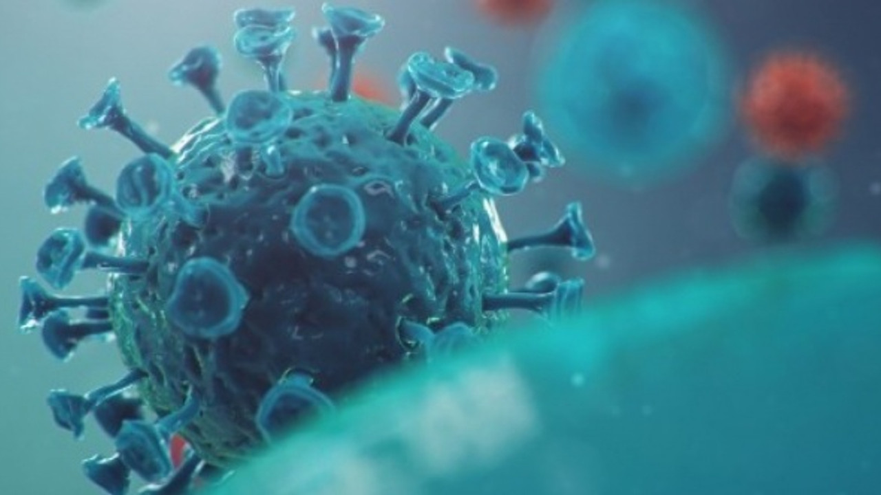 Arjantin'de ilk Omicron vakası