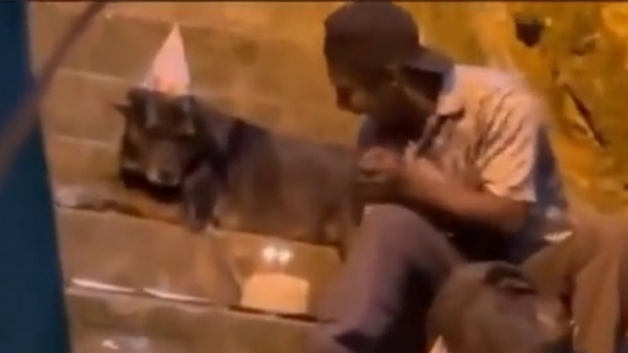 Hayatta Her Şeye Rağmen Güzel Şeyler de Oluyor!