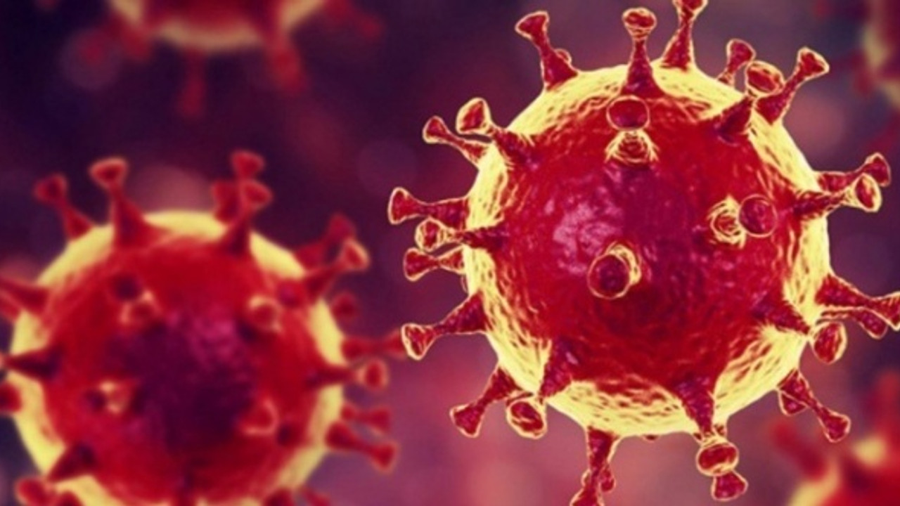 Japonya'da 2 gün üst üste Covid-19 vaka rekoru kırıldı!