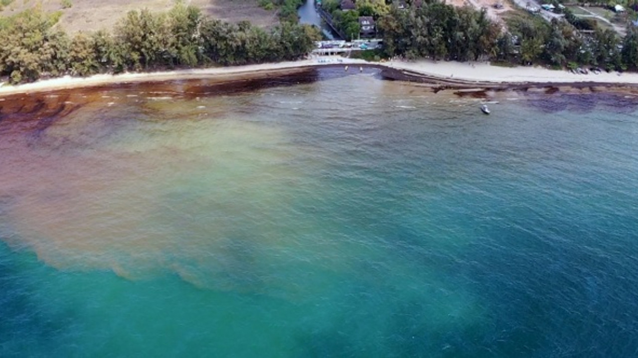 Tayland'da petrol sızıntısı!