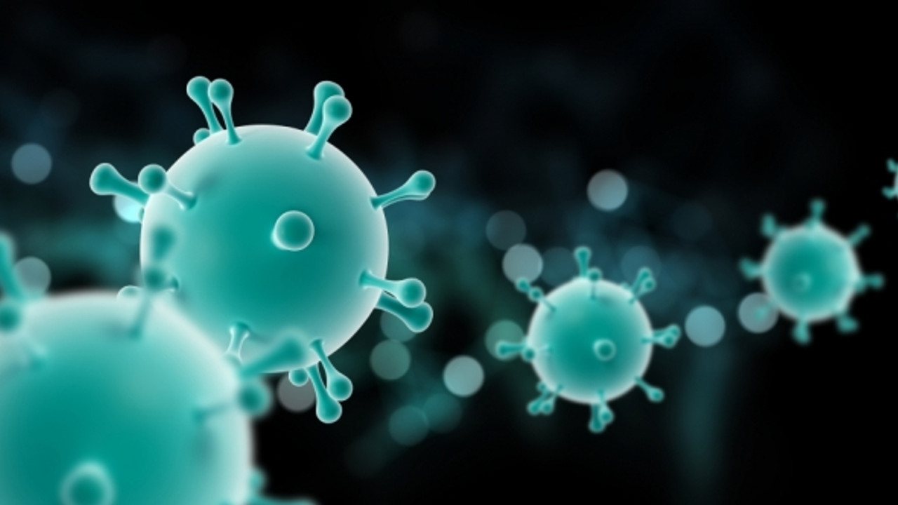 Bilim Kurulu üyesi İlhan: 1000 vaka hedefini yaz döneminde yakalayabiliriz