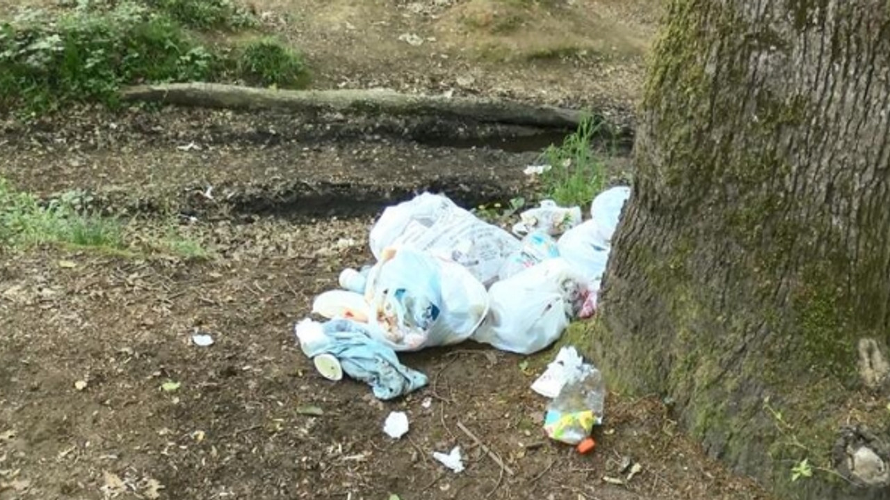 Belgrad Ormanı'nı çöplüğe çevirdiler