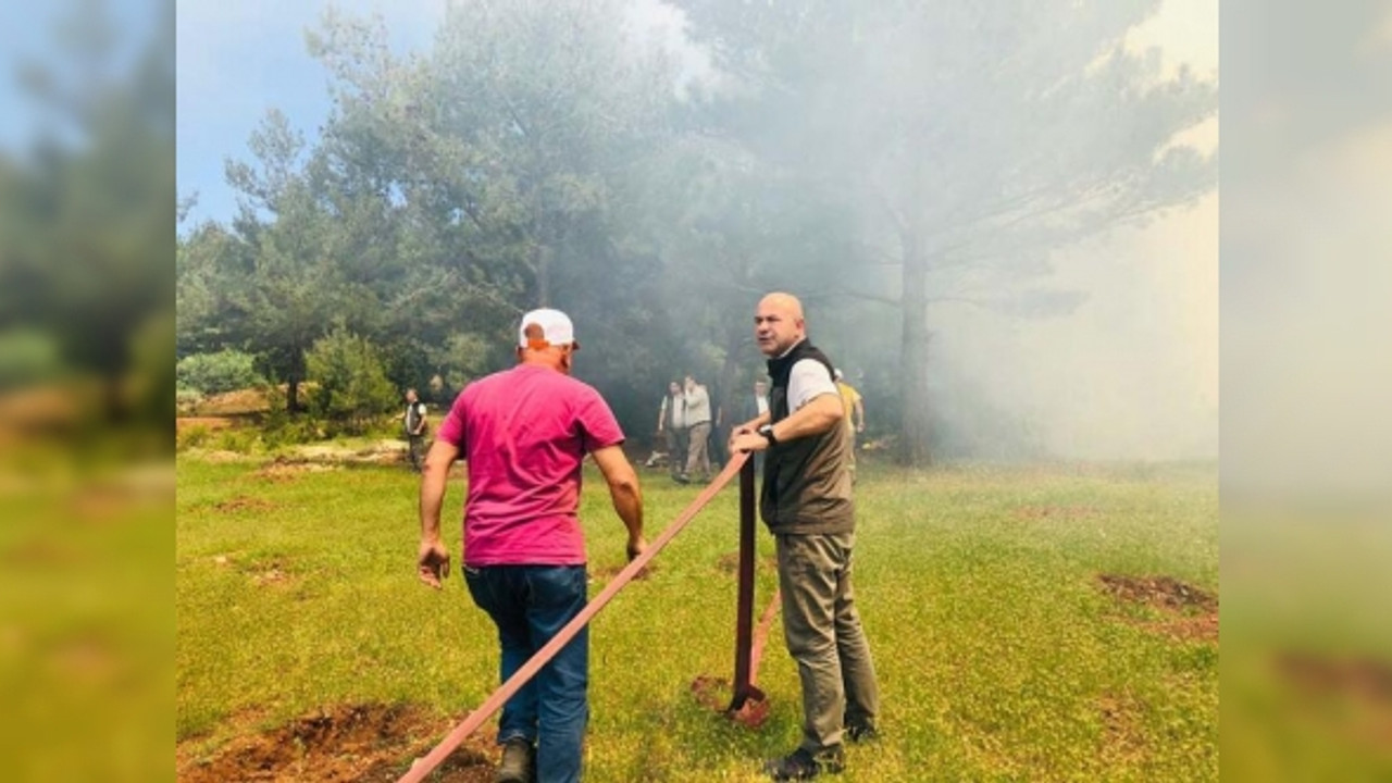 Hatay'da orman yangını