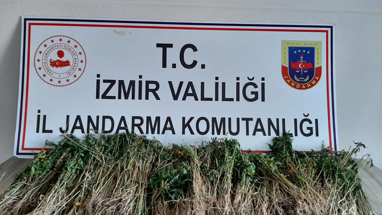 İzmir'de drone destekli uyuşturucu operasyonu!