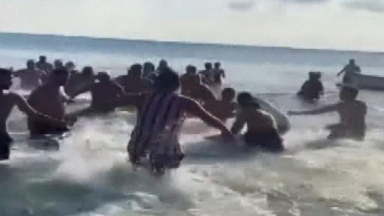 Denizdeki iki grup arasında feci kavga!