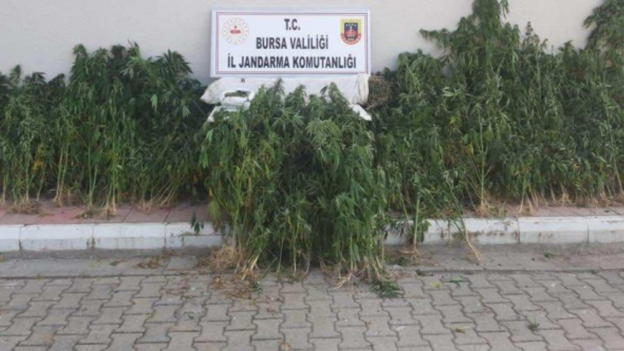 Bursa’da nefes kesen uyuşturucu operasyonu: 4 gözaltı