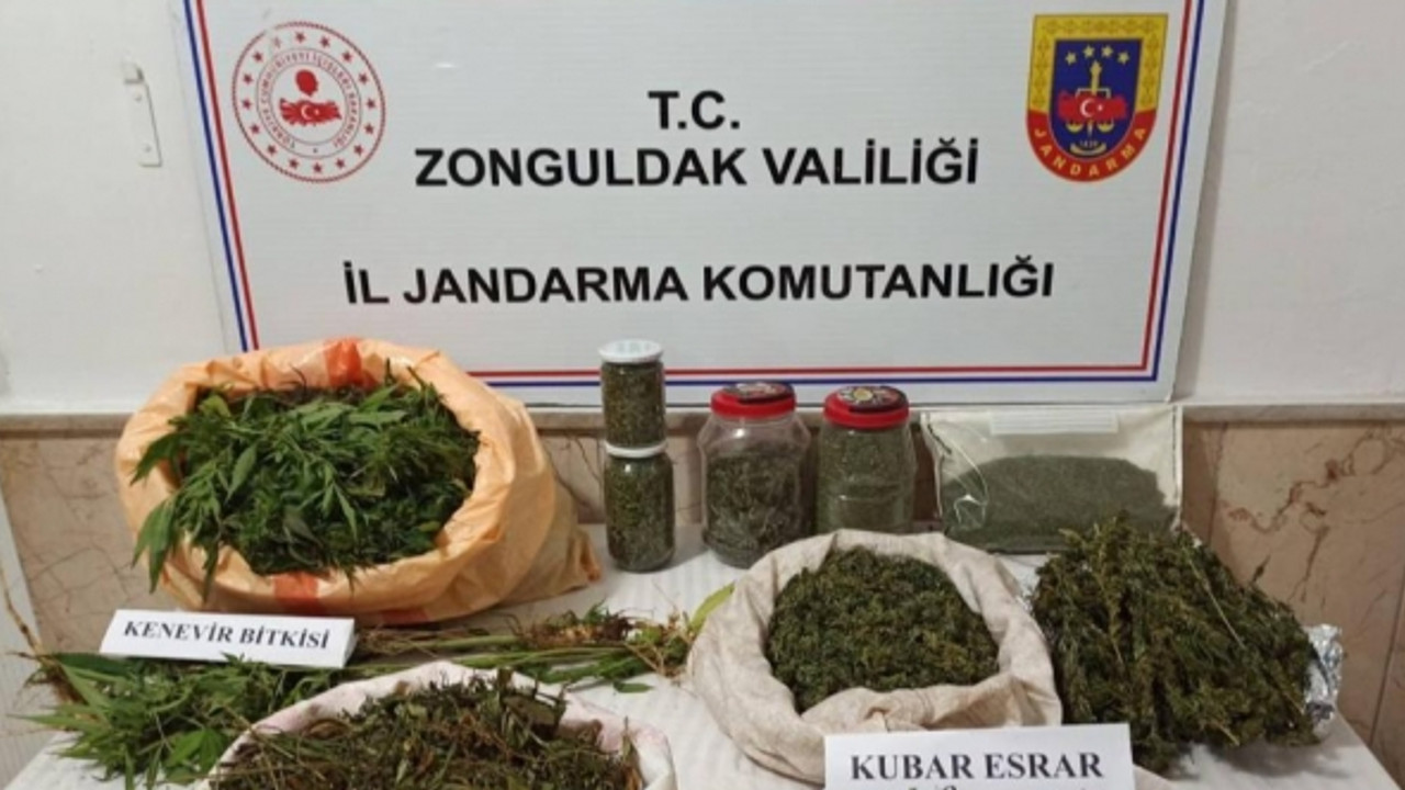 Jandarmadan zehir operasyonu! Binlerce esrar ele geçirildi