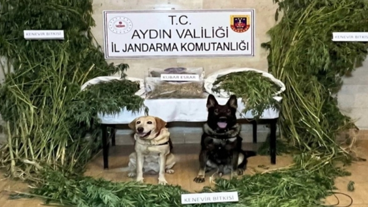 Jandarmadan nefes kesen operasyonlar!