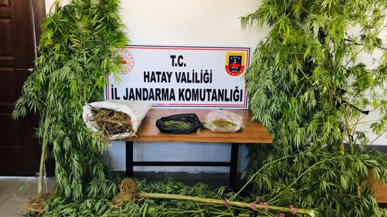 Uyuşturucu tacirine şok operasyon: Gençleri zehirleyemeden yakalandı