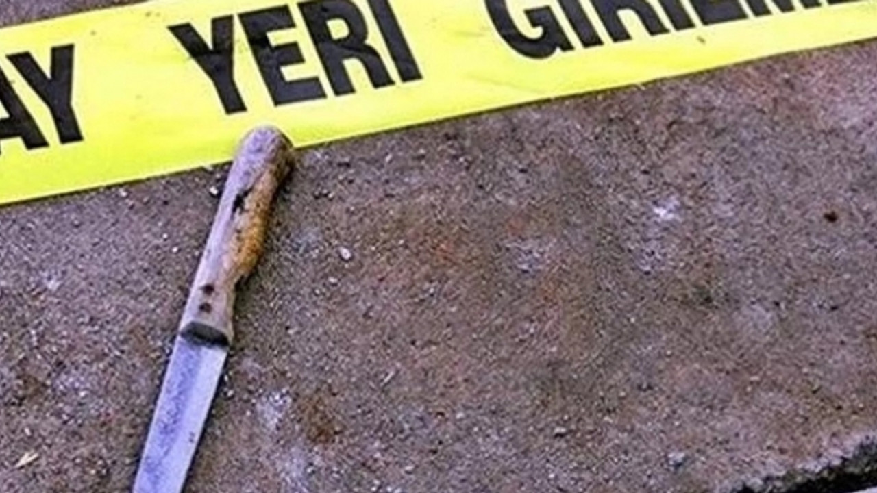 Kardeş kavgası kanlı bitti!