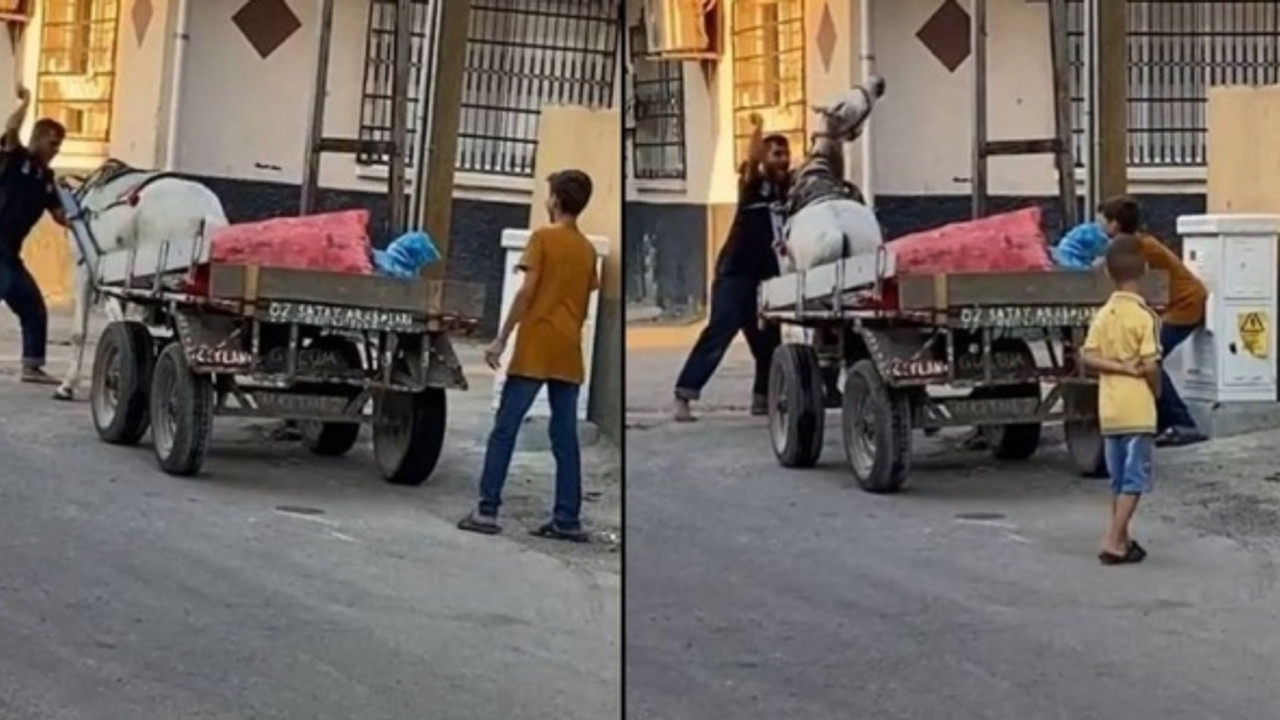 Vicdansız adam atı yumruklamıştı: Bahanesi şoke etti