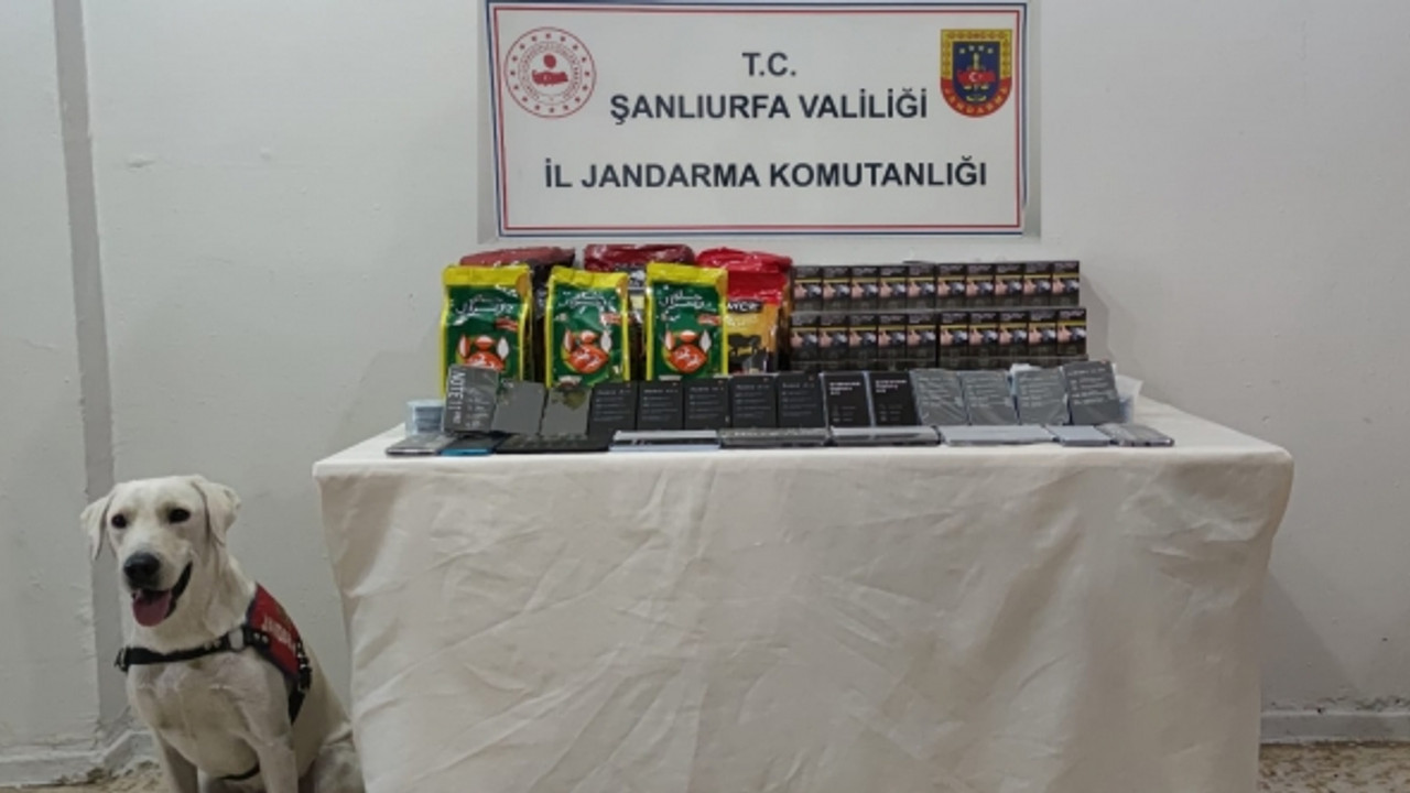 Jandarma kaçakçılara geçit vermedi!