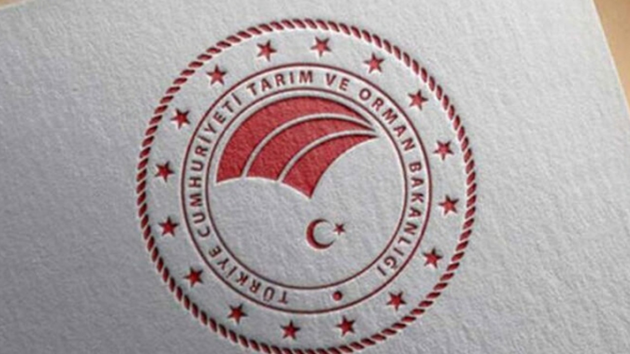 Tarım ve Orman Bakanlığı: Evcil hayvanları kayıt altına almak için son tarih 31 Aralık