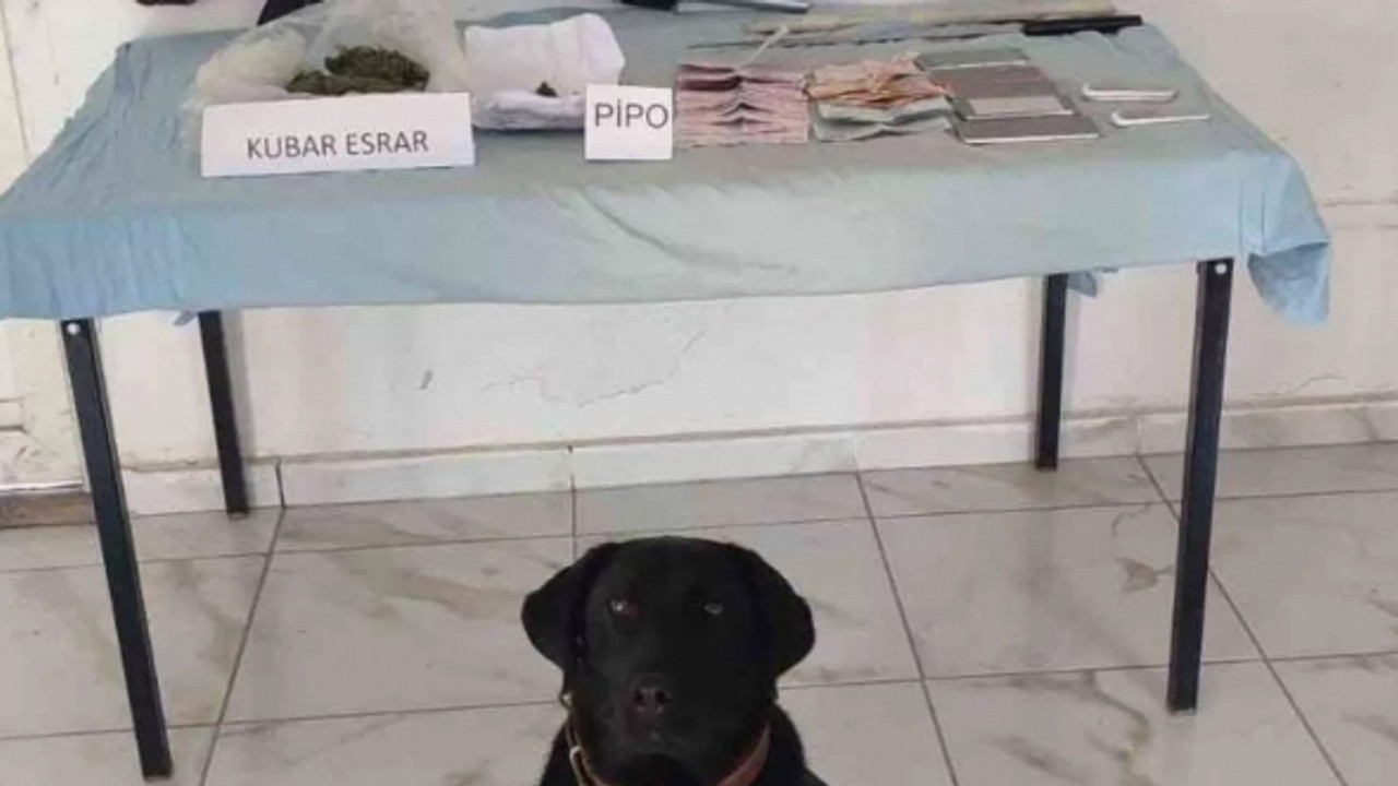 Jandarma'dan uyuşturucu operasyonu: 1 gözaltı