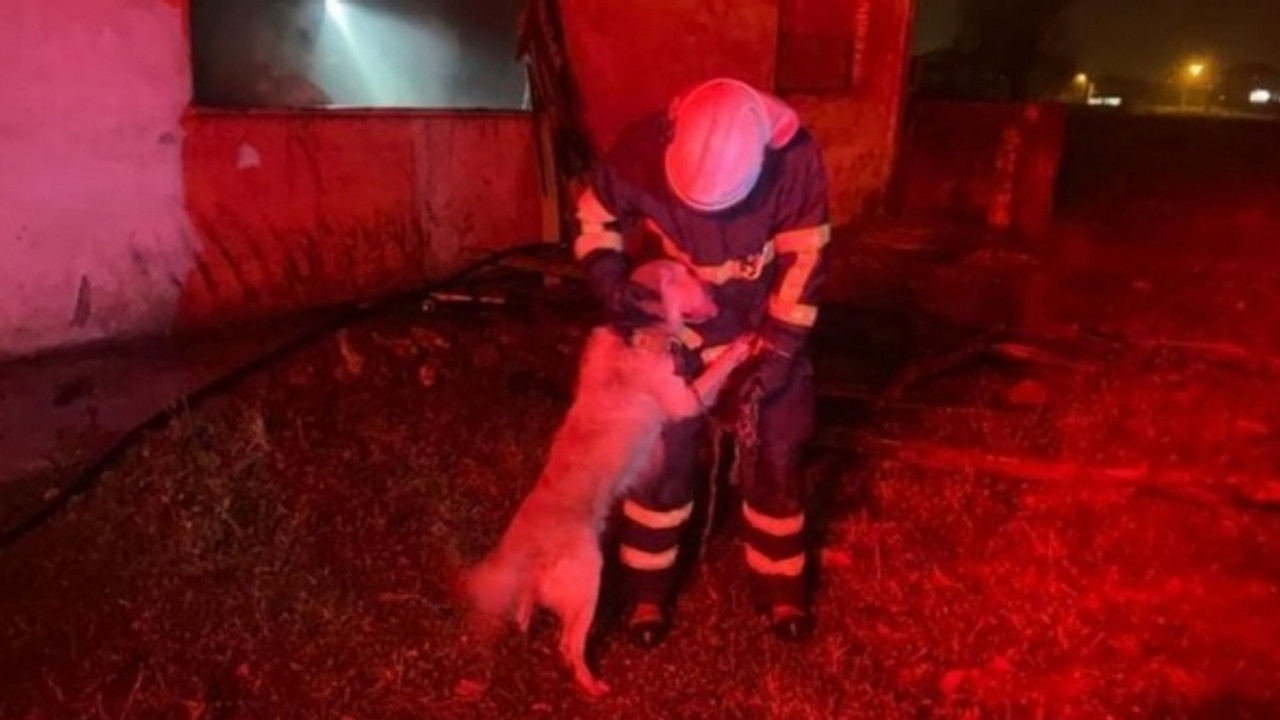 Alevlerin arasından kurtarıldı! İtfaiyeciye sarıldı