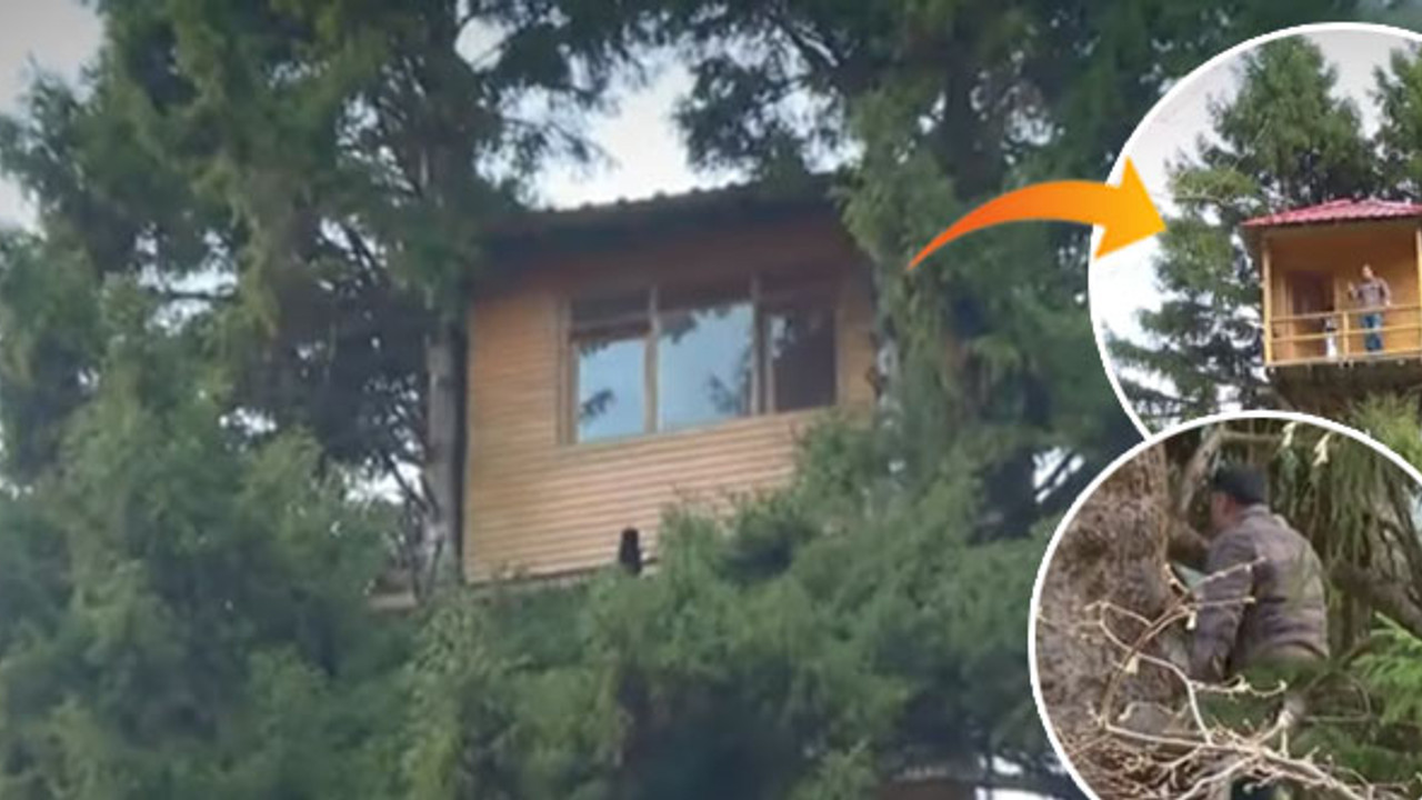 Çocukluk hayalini gerçekleştirmek için 28 metre yükseğe ağaç ev yaptı