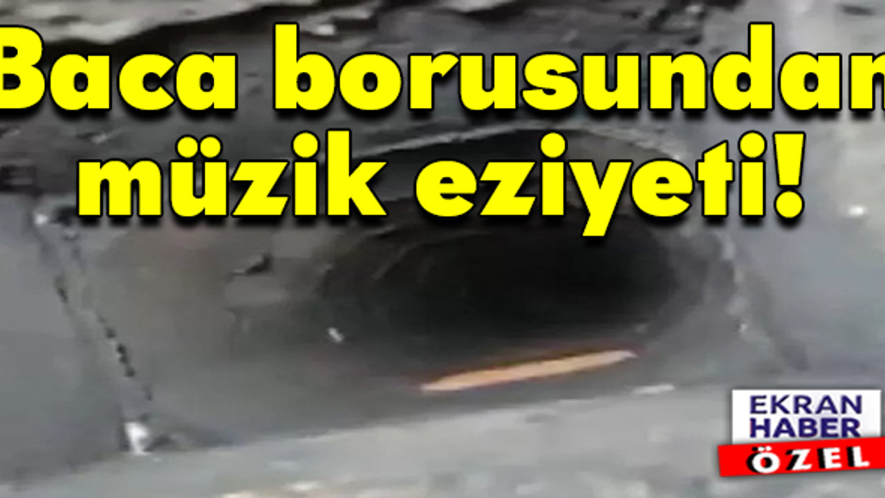 Ev sahibinin kiracıya yaptıkları pes dedirtti!