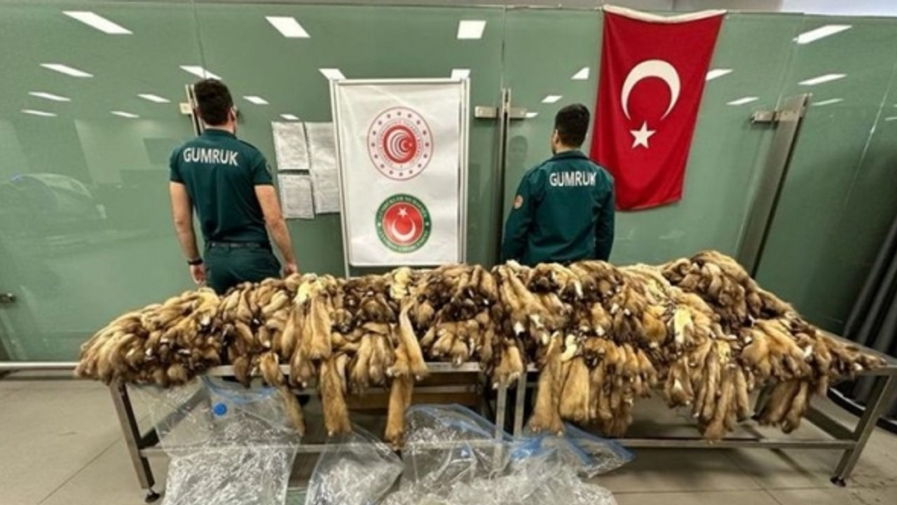 Havalimanında ele geçirildi! 1200 adet post