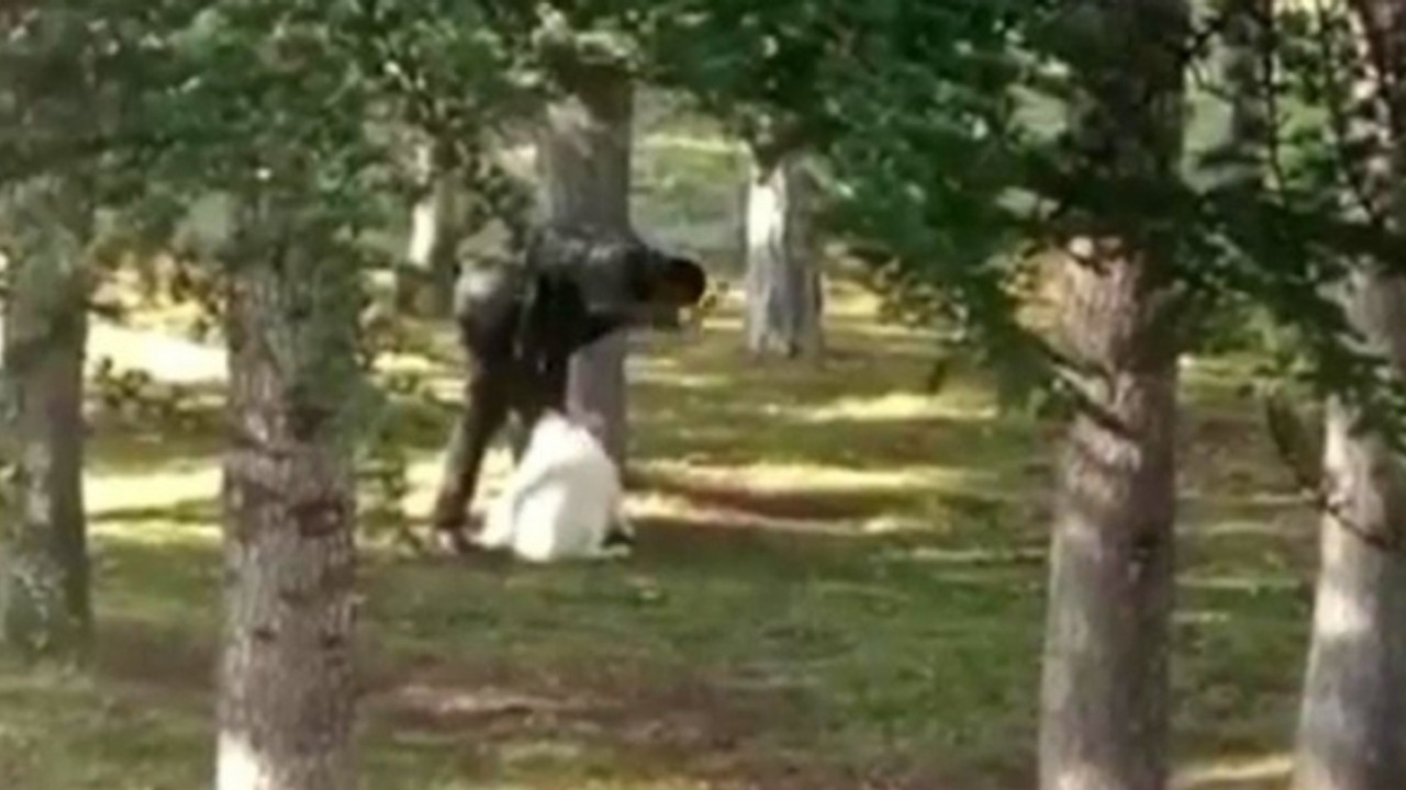 Parkta köpeğe sopalı- yumruklu işkence!