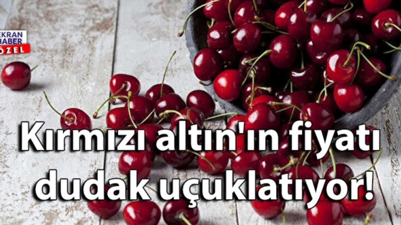 2,5 gram altına eş değer! Kirazın kilosu dudak uçuklattı