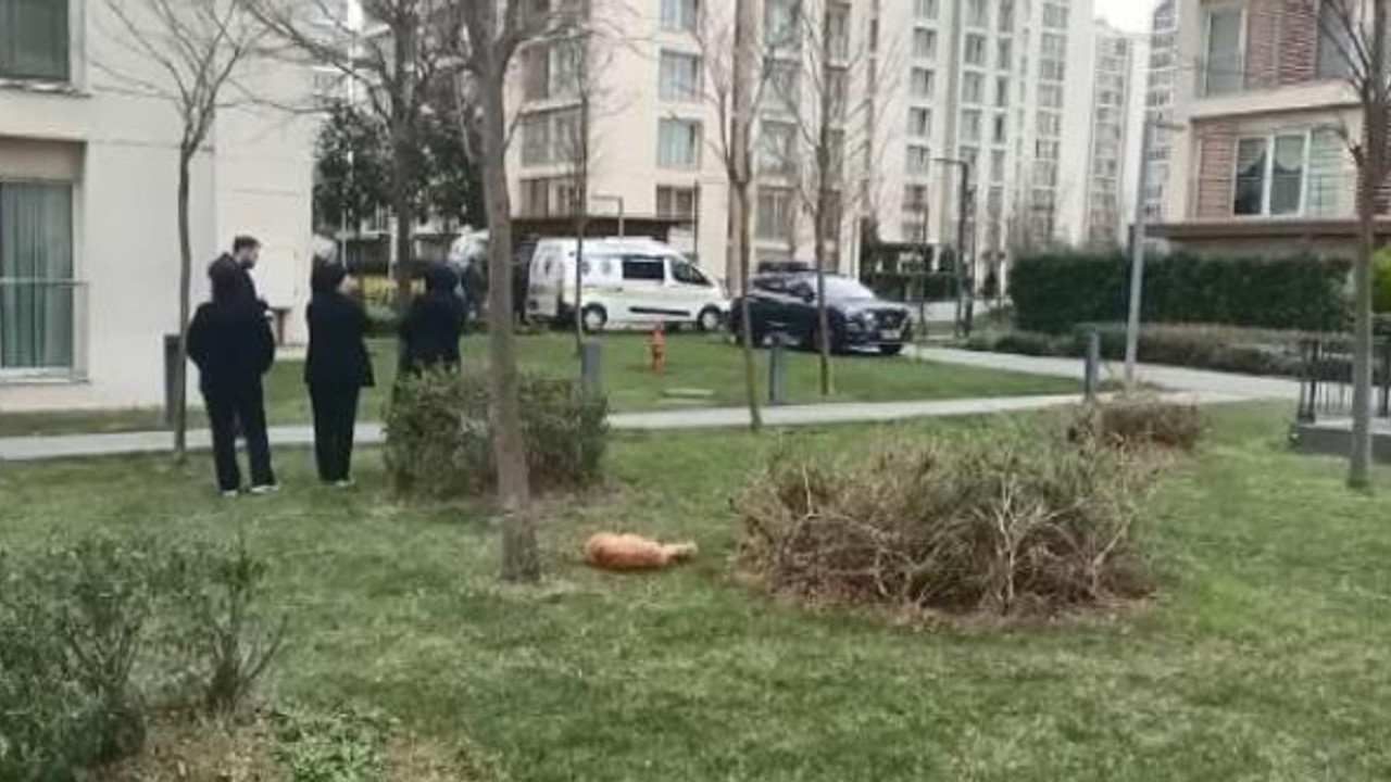 İstanbul'da vahşet! Baba ve 3 çocuğu evde ölü bulundu