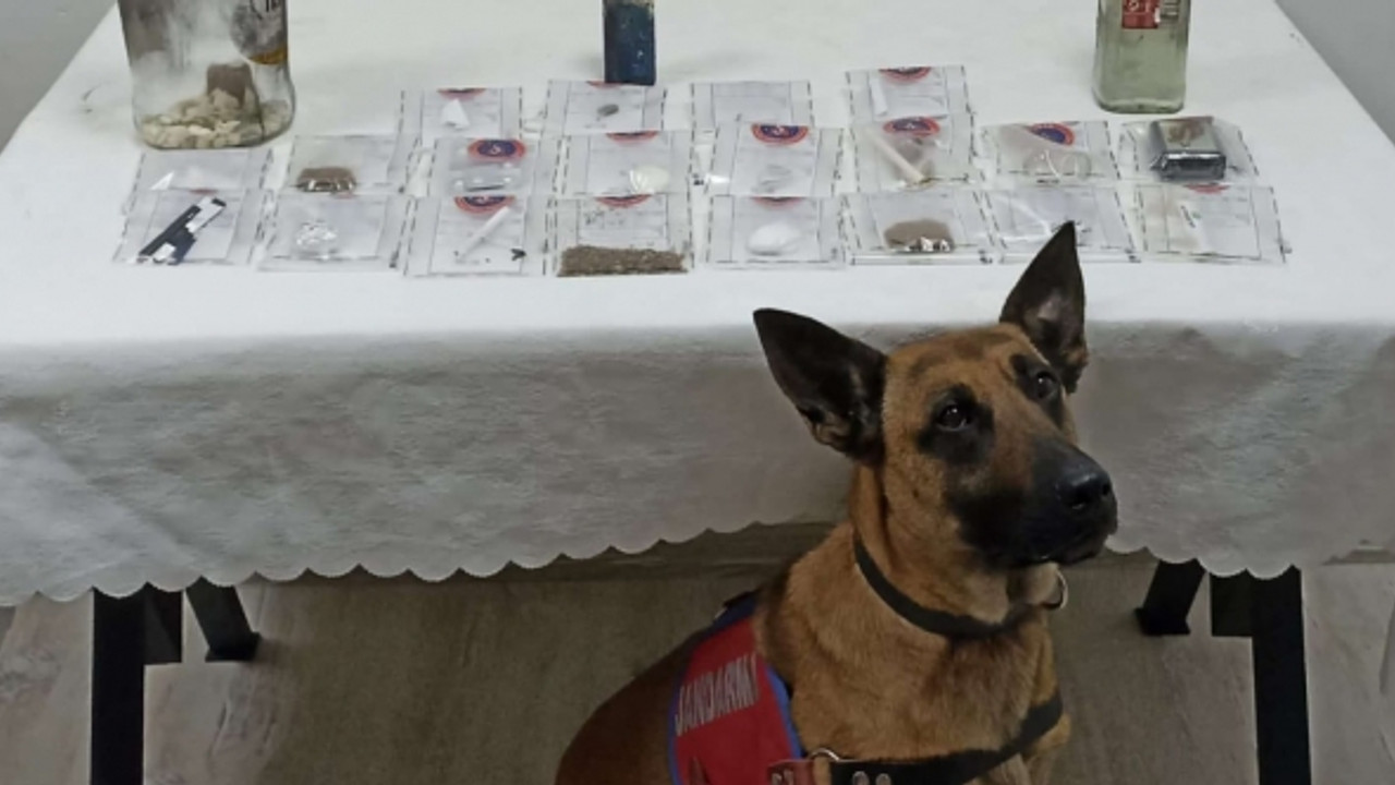 Jandarma'dan, uyuşturucu satıcılarına operasyon!