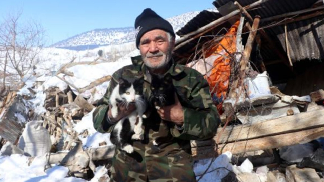 Eşi enkaz altında kaldı, 4 kedisini kurtarabildi
