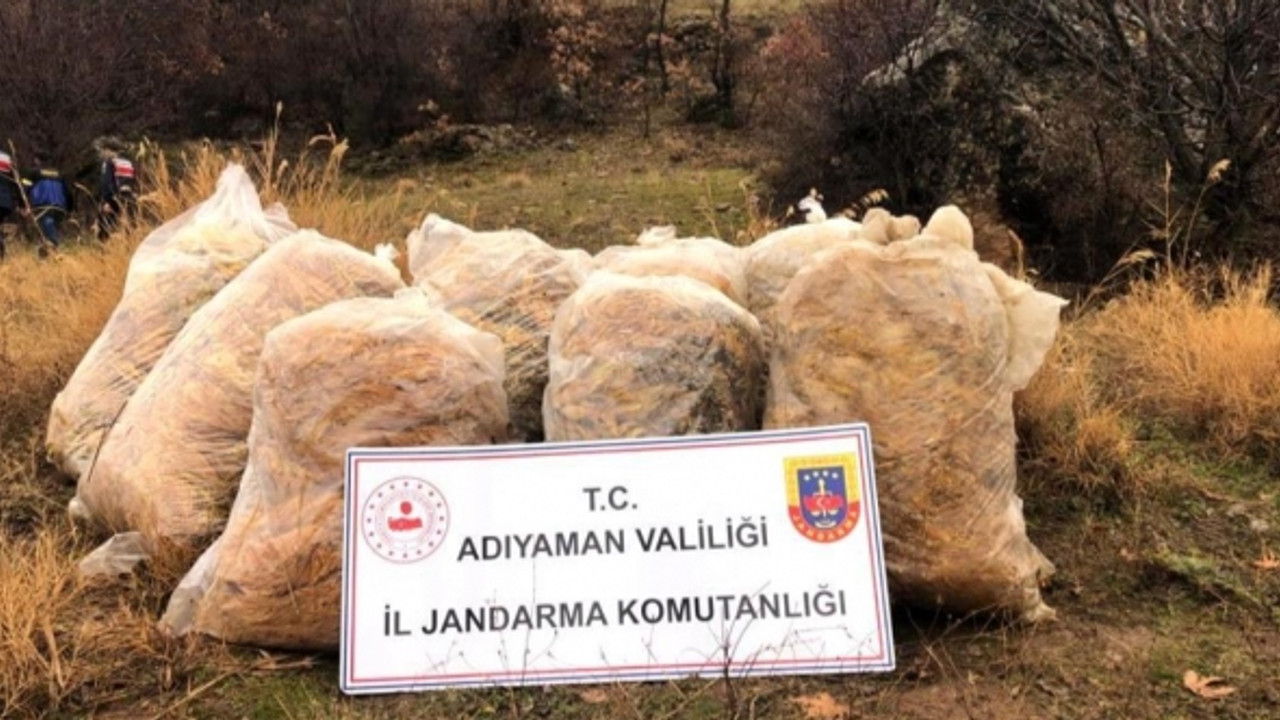 Çalınan tütünler dere yatağında bulundu