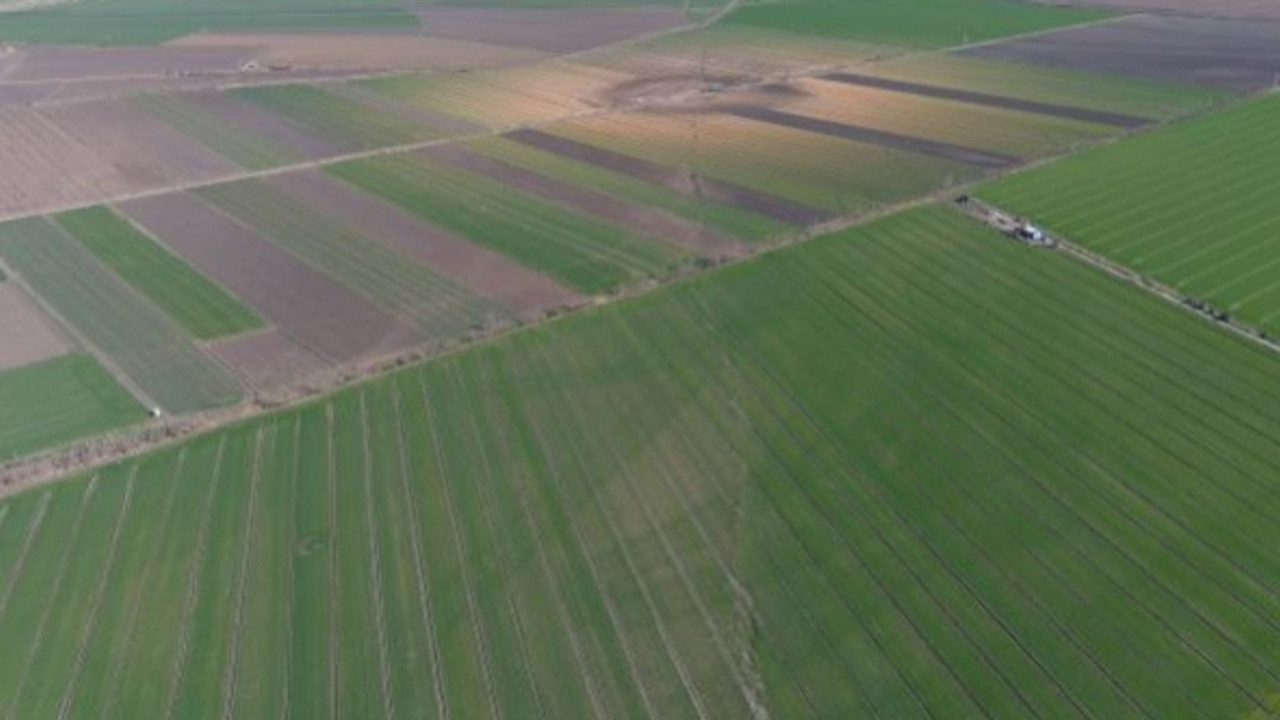 Kahramanmaraş'ta fay kırıkları toprağı patlattı! Fareler yüzeye çıktı