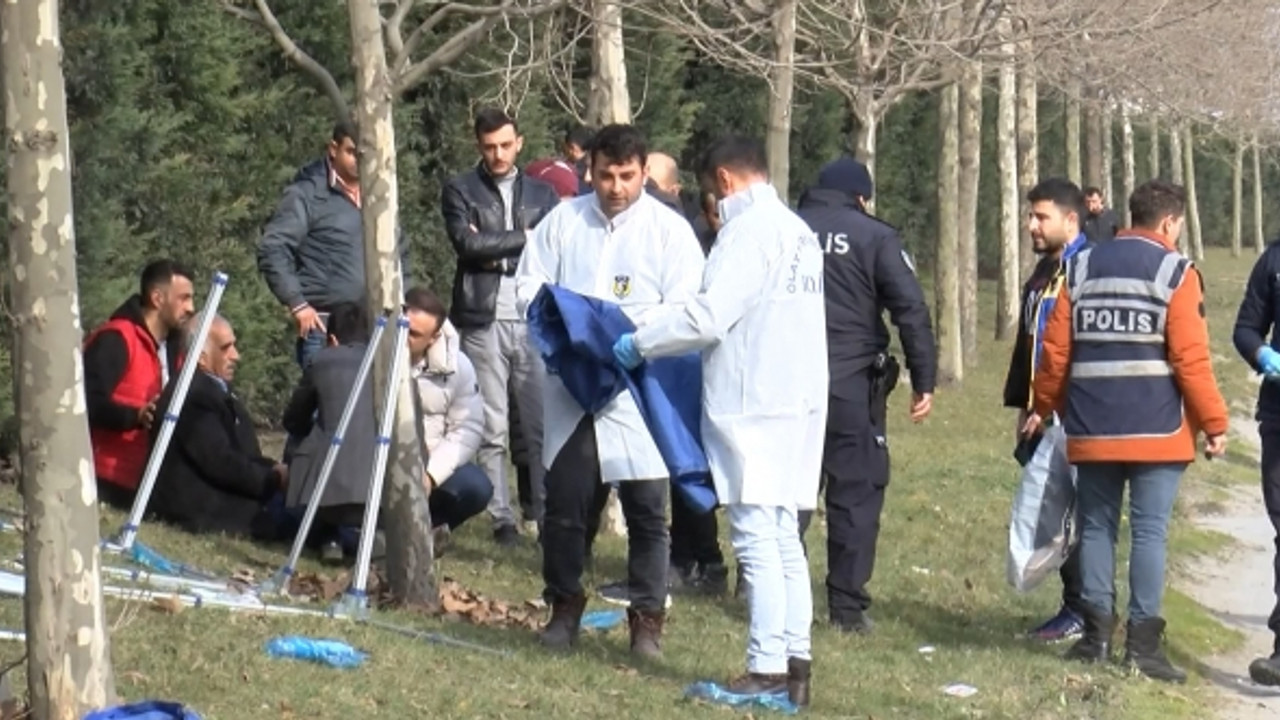 Üniversite öğrencisi yol kenarında ölü bulundu