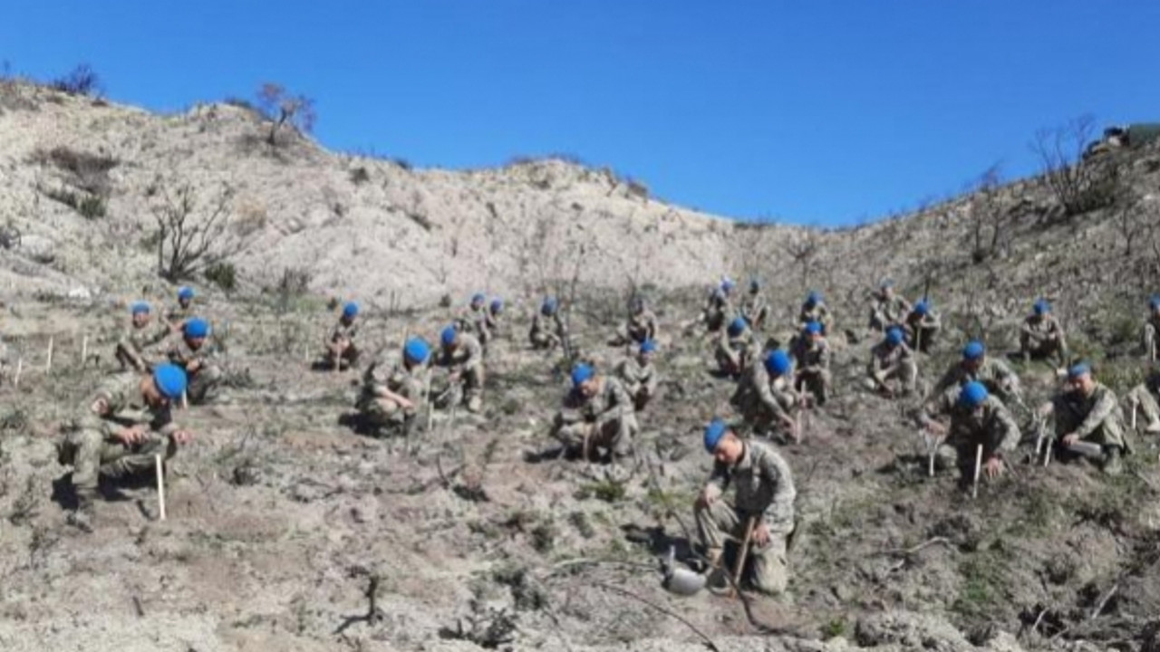 Mehmetçik yanan ormanlık alana 5 bin fidan dikti