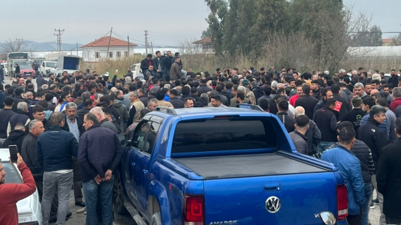 Domates üreticileri ihracat kısıtlamasının kaldırılmasını istedi; yolu kapattı
