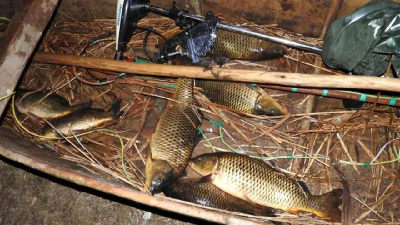 Elektroşokla avlananlara 488 bin lira para cezası!