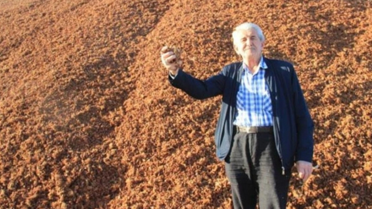 Kömür fiyatları arttı, çam fıstığı kabukları değerlendi