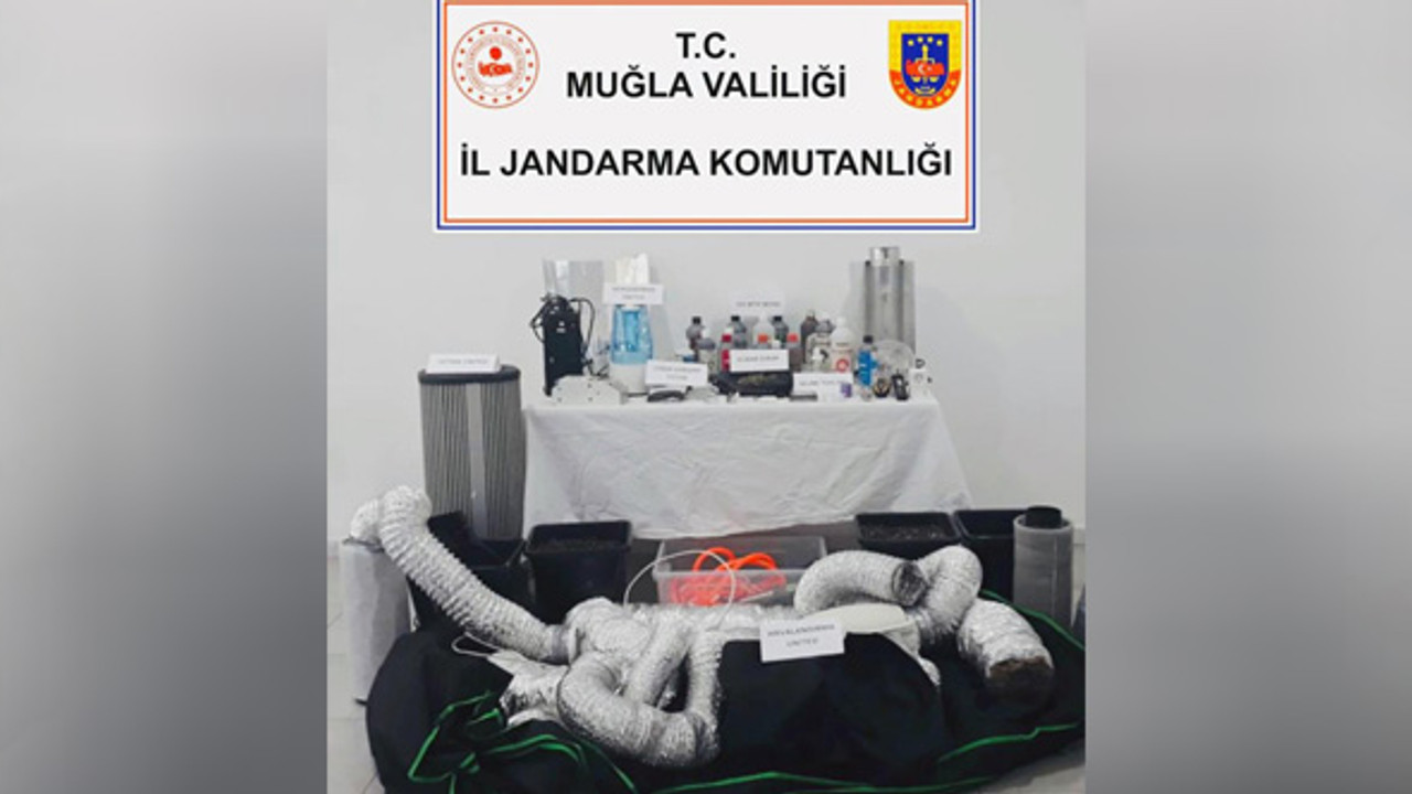 Muğla’da jandarmadan uyuşturucu operasyonu