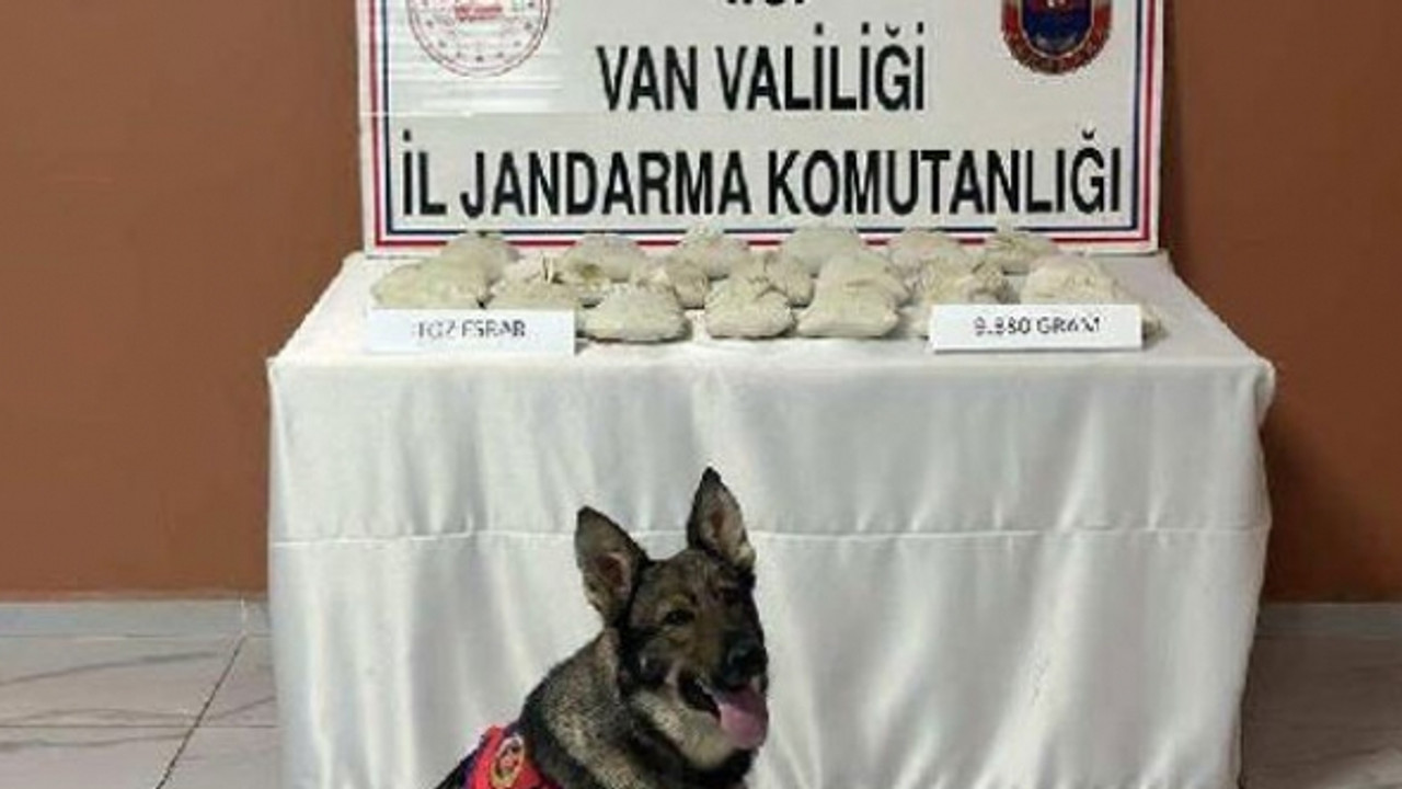 Jandarma'dan uyuşturucu operasyonu: Çalılar arasında 10 kilo esrar bulundu