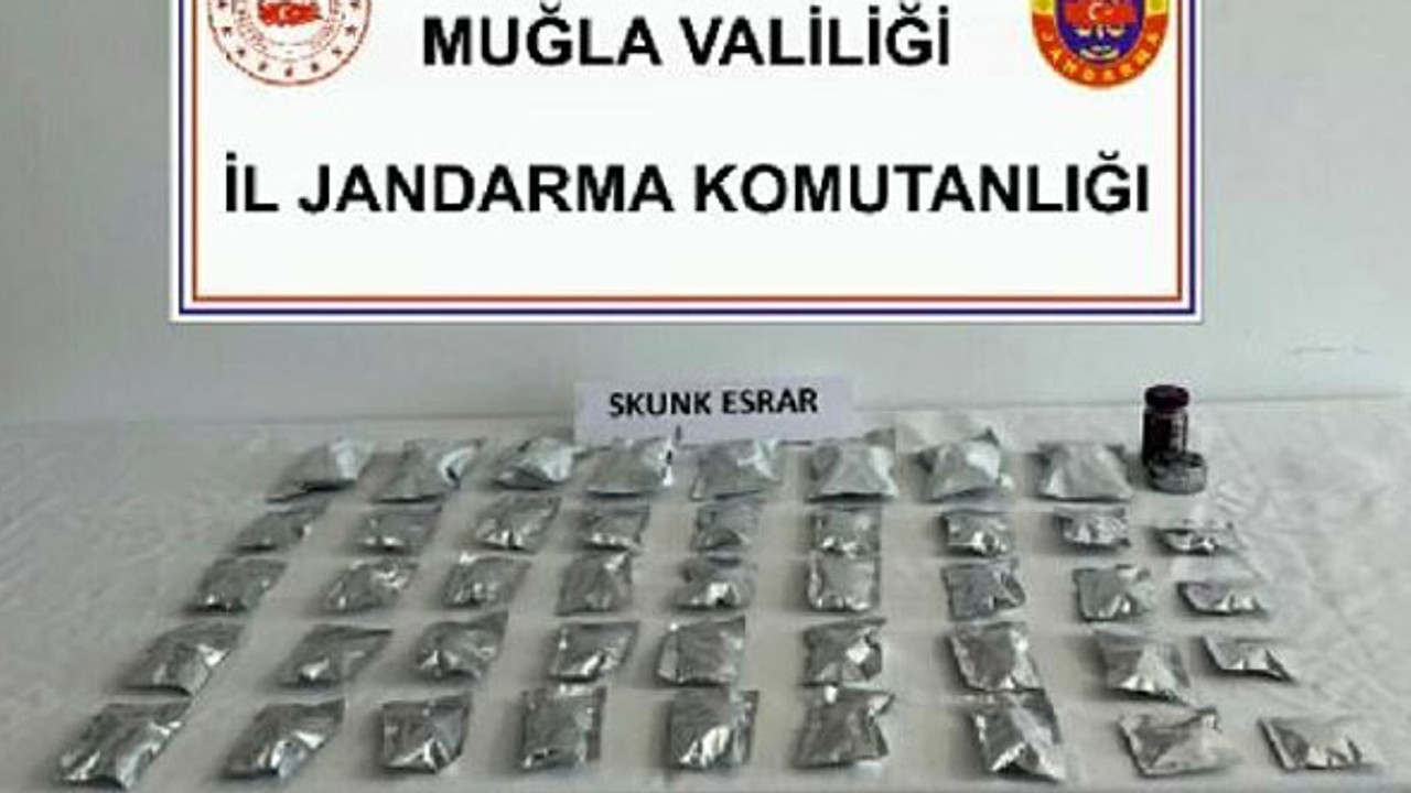 Jandarmadan uyuşturucu ticaretine geçit yok! Zehir taciri gözaltına alındı