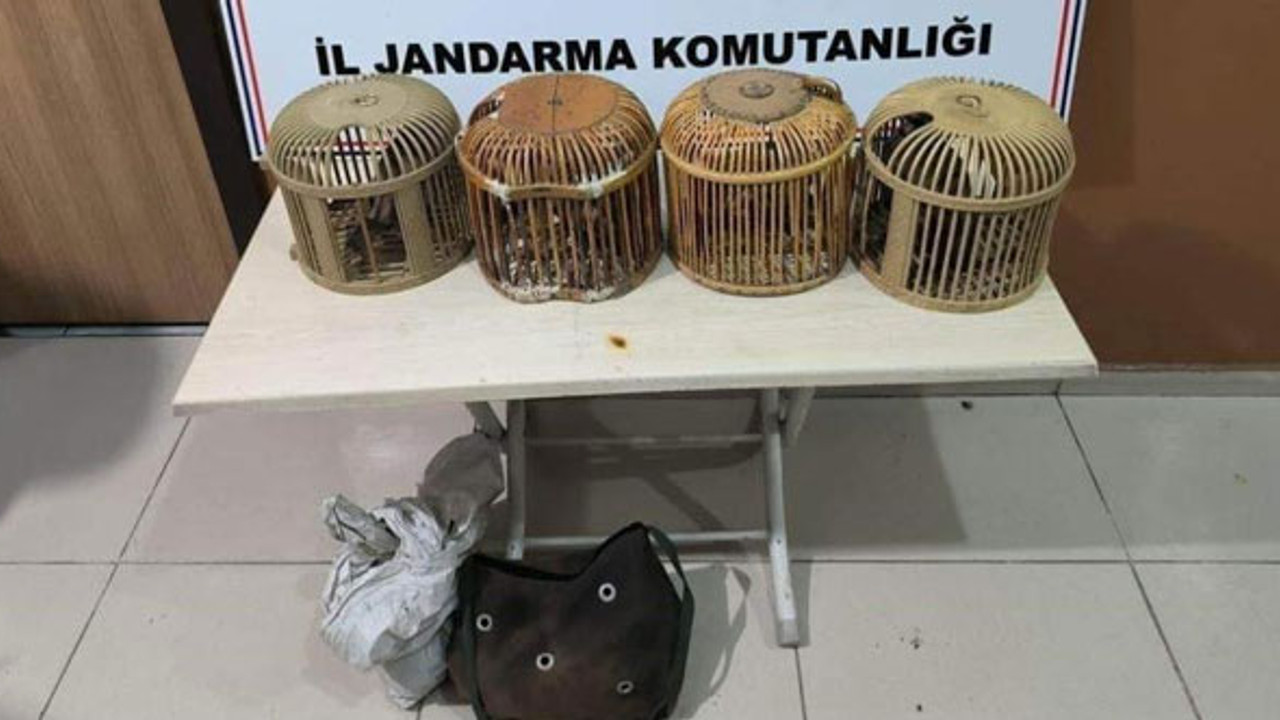 Kaçak avcılar jandarmaya takıldı