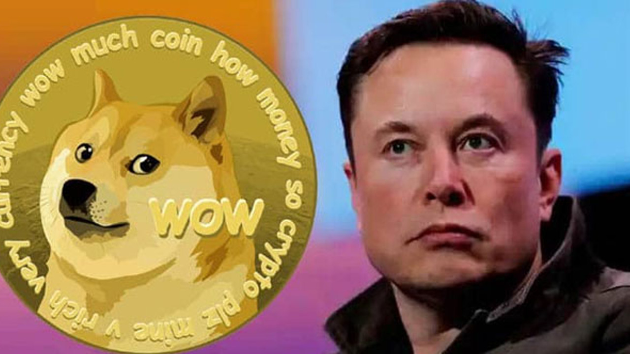 Musk'tan bir taşta iki kuş! Hem Larry'i hem de Dogecoin'i uçurdu