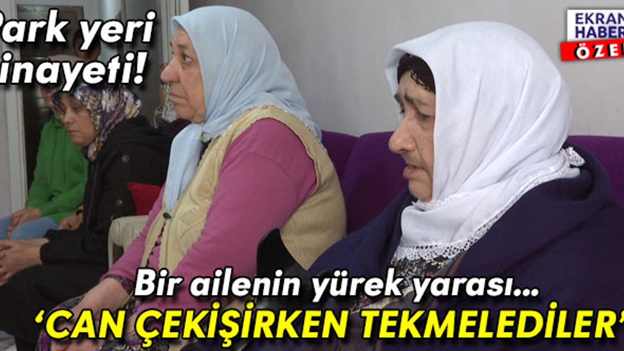 Park yeri cinayeti! Katledilen Canan Çimen’in ailesi: Can çekişirken tekmelediler