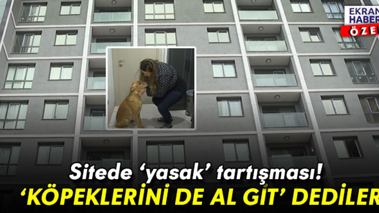Sitede ‘yasak’ tartışması! ‘Köpeklerini de al git’ dediler