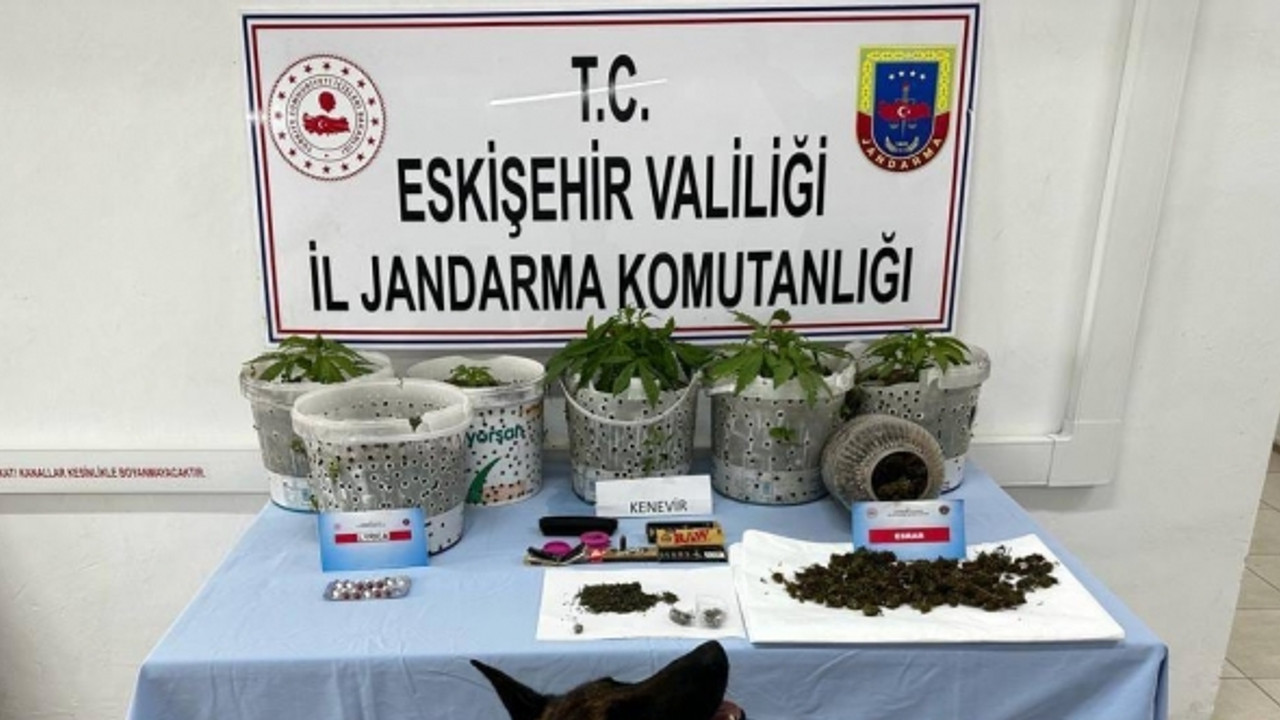 Eskişehir'de uyuşturucu madde yetiştiren şüphelilere darbe: 'Akça' yerini buldu!