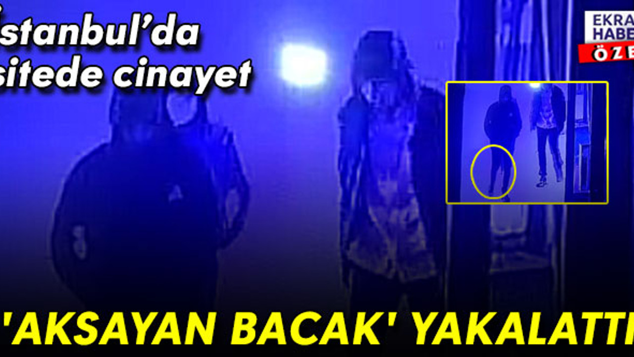 İstanbul'da sitede cinayet! Zanlıları 'aksayan bacak' yakalattı
