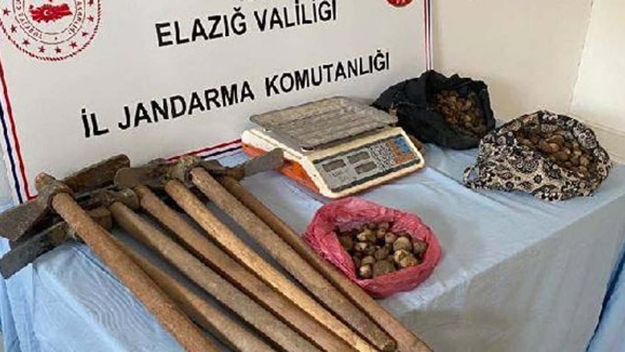 Jandarma suçüstü yakaladı! Salep soğanı avcılarına ceza