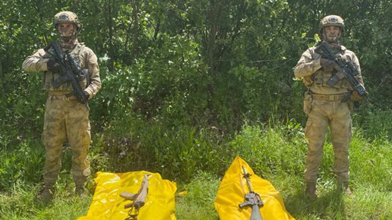 Lice'de PKK'ya darbe: 2 terörist daha etkisiz