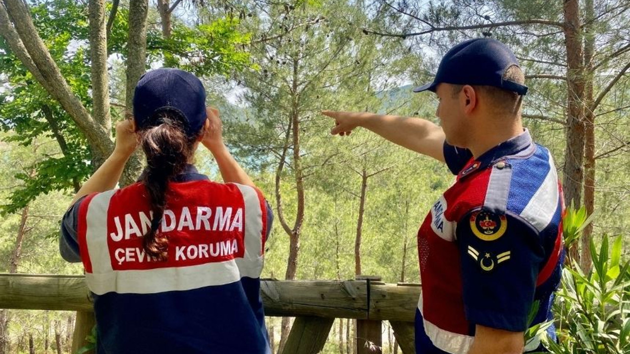 Jandarma orman yangınlarını önlemek adına harekete geçti!